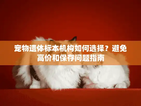 宠物遗体标本机构如何选择？避免高价和保存问题指南