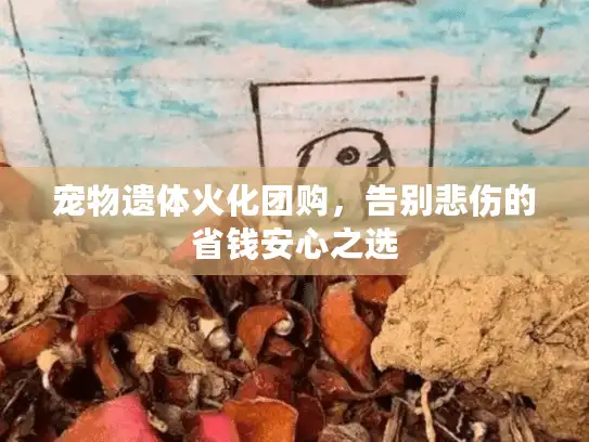 宠物遗体火化团购，告别悲伤的省钱安心之选