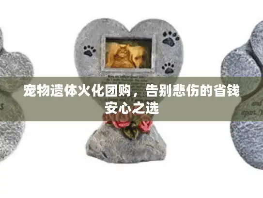 宠物遗体火化团购，告别悲伤的省钱安心之选