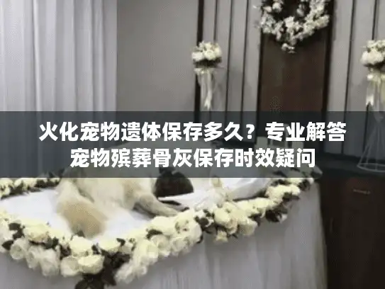 火化宠物遗体保存多久？专业解答宠物殡葬骨灰保存时效疑问