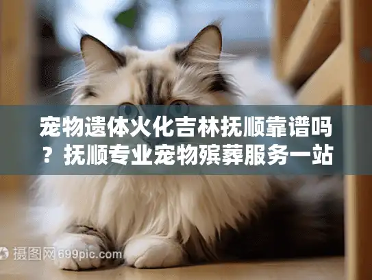宠物遗体火化吉林抚顺靠谱吗？抚顺专业宠物殡葬服务一站式解答