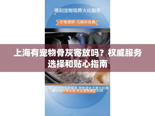 上海有宠物骨灰寄放吗？权威服务选择和贴心指南