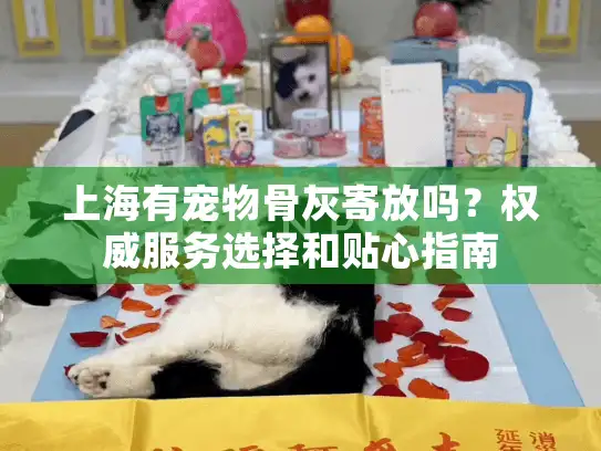 上海有宠物骨灰寄放吗？权威服务选择和贴心指南