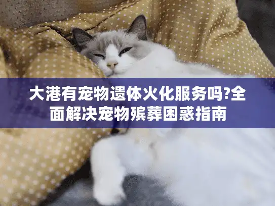 大港有宠物遗体火化服务吗?全面解决宠物殡葬困惑指南