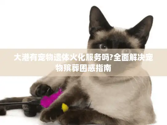大港有宠物遗体火化服务吗?全面解决宠物殡葬困惑指南