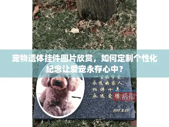 宠物遗体挂件图片欣赏，如何定制个性化纪念让爱宠永存心中？
