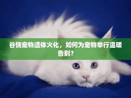 谷饶宠物遗体火化，如何为宠物举行温暖告别？