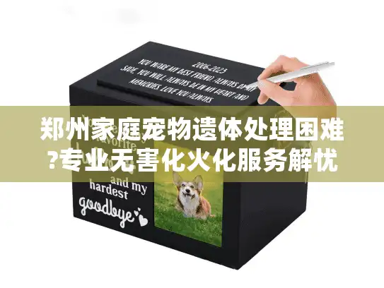 郑州家庭宠物遗体处理困难?专业无害化火化服务解忧指南