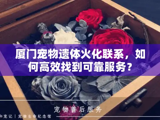 厦门宠物遗体火化联系，如何高效找到可靠服务？