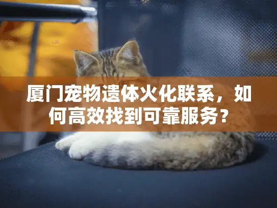 厦门宠物遗体火化联系，如何高效找到可靠服务？