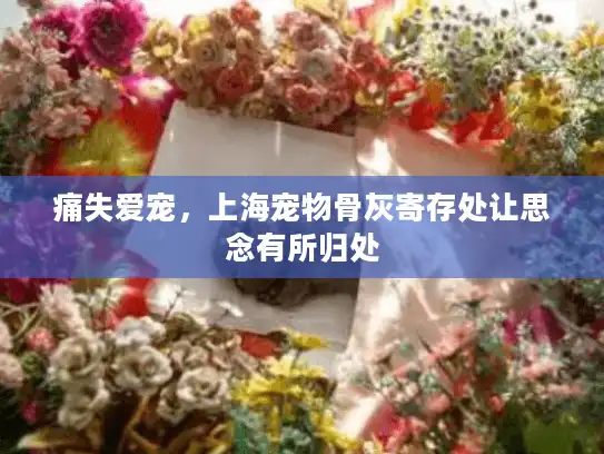 痛失爱宠，上海宠物骨灰寄存处让思念有所归处