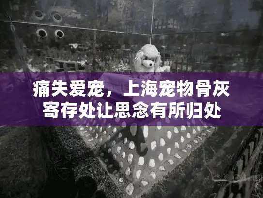痛失爱宠，上海宠物骨灰寄存处让思念有所归处