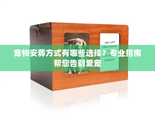 宠物安葬方式有哪些选择？专业指南帮您告别爱宠