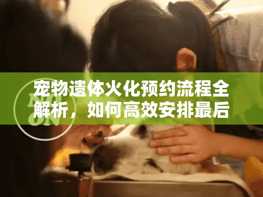 宠物遗体火化预约流程全解析，如何高效安排最后的告别？