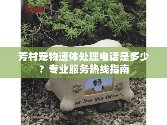 芳村宠物遗体处理电话是多少？专业服务热线指南