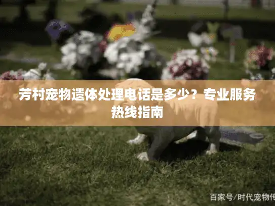 芳村宠物遗体处理电话是多少？专业服务热线指南