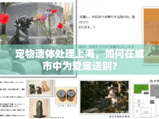 宠物遗体处理上海，如何在城市中为爱宠送别？