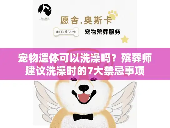 宠物遗体可以洗澡吗？殡葬师建议洗澡时的7大禁忌事项