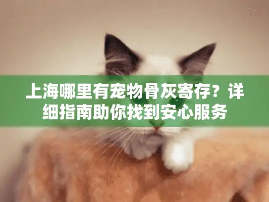 上海哪里有宠物骨灰寄存？详细指南助你找到安心服务