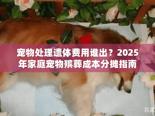 宠物处理遗体费用谁出？2025年家庭宠物殡葬成本分摊指南
