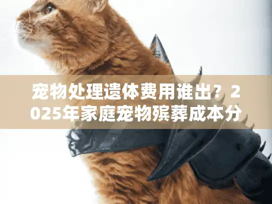 宠物处理遗体费用谁出？2025年家庭宠物殡葬成本分摊指南
