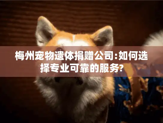 梅州宠物遗体捐赠公司:如何选择专业可靠的服务?