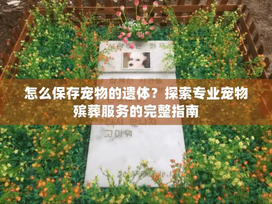 怎么保存宠物的遗体？探索专业宠物殡葬服务的完整指南