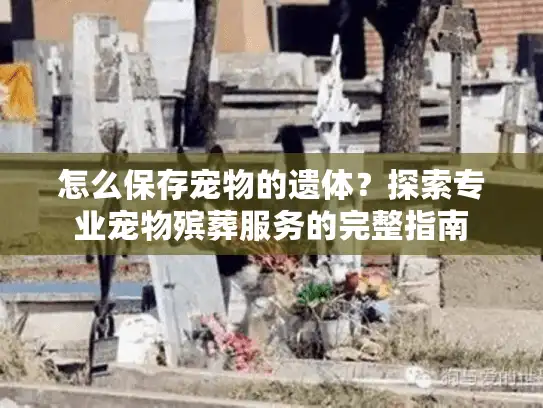 怎么保存宠物的遗体？探索专业宠物殡葬服务的完整指南