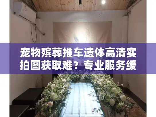 宠物殡葬推车遗体高清实拍图获取难？专业服务缓解告别焦虑