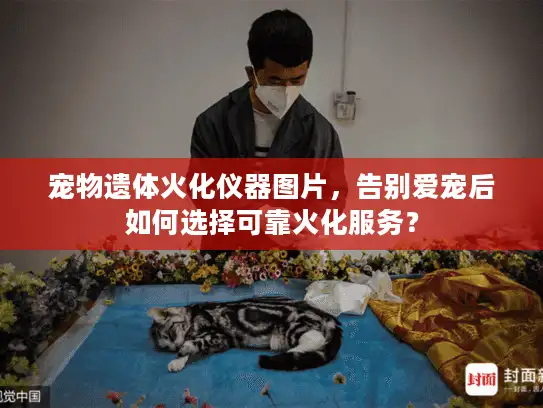 宠物遗体火化仪器图片，告别爱宠后如何选择可靠火化服务？