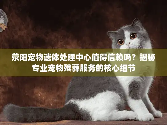 荥阳宠物遗体处理中心值得信赖吗？揭秘专业宠物殡葬服务的核心细节