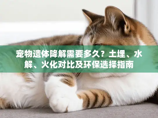 宠物遗体降解需要多久？土埋、水解、火化对比及环保选择指南