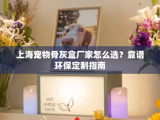 上海宠物骨灰盒厂家怎么选？靠谱环保定制指南