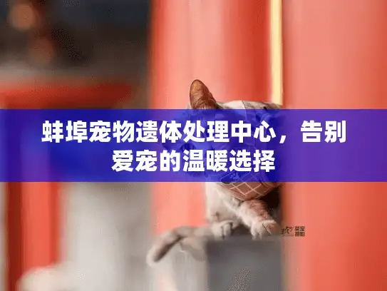 蚌埠宠物遗体处理中心，告别爱宠的温暖选择