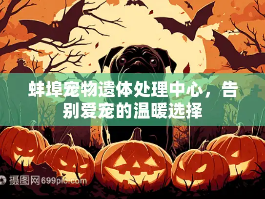 蚌埠宠物遗体处理中心，告别爱宠的温暖选择