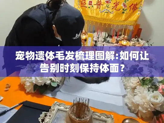 宠物遗体毛发梳理图解:如何让告别时刻保持体面？
