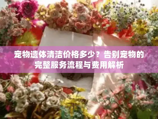 宠物遗体清洁价格多少？告别宠物的完整服务流程与费用解析