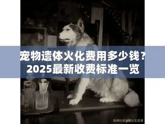 宠物遗体火化费用多少钱？2025最新收费标准一览