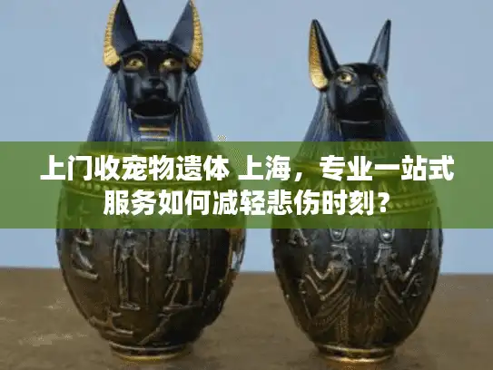 上门收宠物遗体 上海，专业一站式服务如何减轻悲伤时刻？