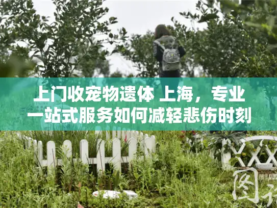 上门收宠物遗体 上海，专业一站式服务如何减轻悲伤时刻？