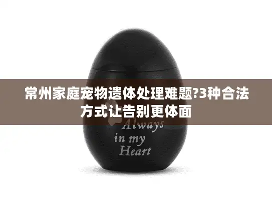 常州家庭宠物遗体处理难题?3种合法方式让告别更体面