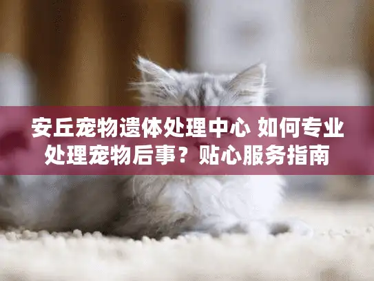 安丘宠物遗体处理中心 如何专业处理宠物后事？贴心服务指南