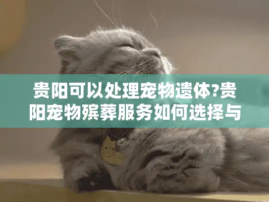 贵阳可以处理宠物遗体?贵阳宠物殡葬服务如何选择与费用参考