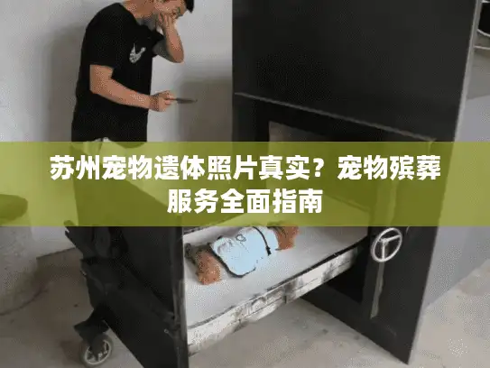 苏州宠物遗体照片真实？宠物殡葬服务全面指南