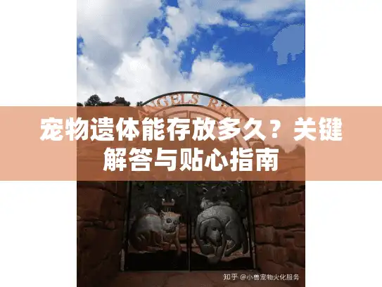 宠物遗体能存放多久？关键解答与贴心指南