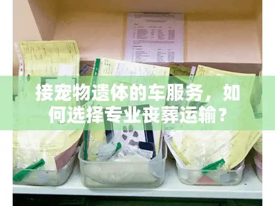 接宠物遗体的车服务，如何选择专业丧葬运输？