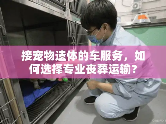 接宠物遗体的车服务，如何选择专业丧葬运输？