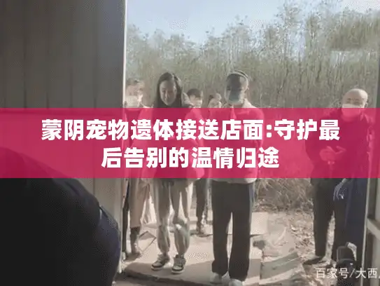 蒙阴宠物遗体接送店面:守护最后告别的温情归途