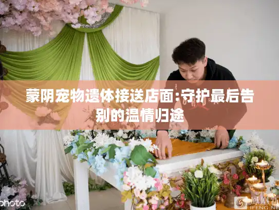蒙阴宠物遗体接送店面:守护最后告别的温情归途