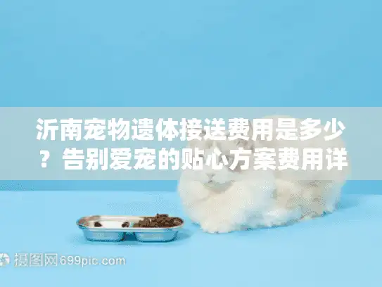 沂南宠物遗体接送费用是多少？告别爱宠的贴心方案费用详情说明